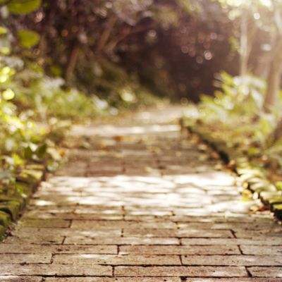 半岛网页版中国官方网站登录截图